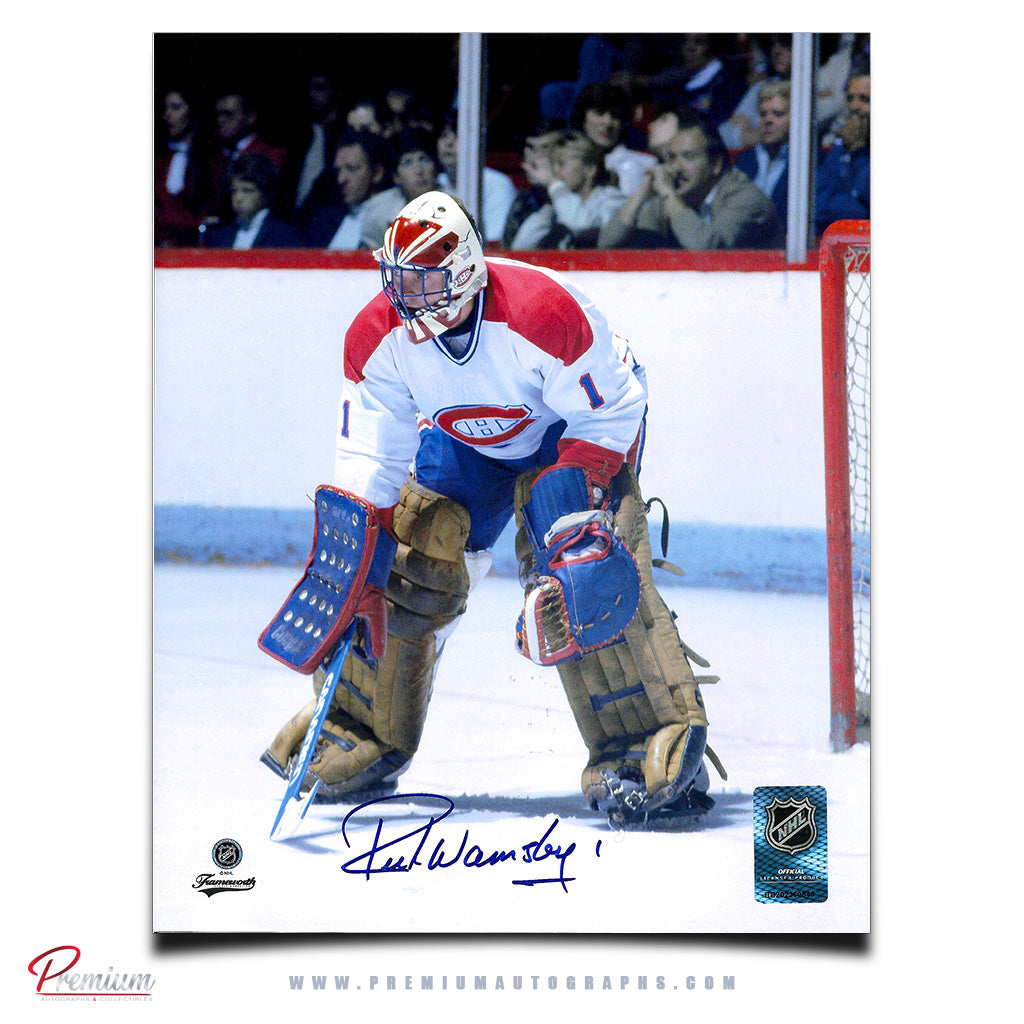 Rick Wamsley Montreal Canadiens Autographed 8x10 Photograph Ready to Save v2
