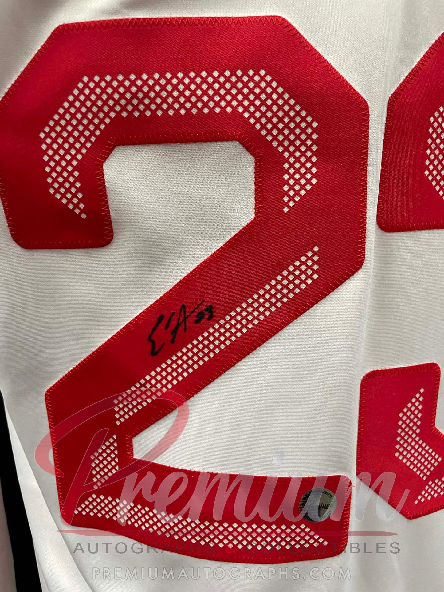 Erin Ambrose Olympic Team Canada Autographed Bauer WHITE jersey