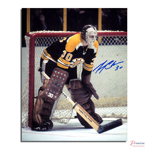 Gerry Cheevers Boston Bruins Signed 8x10 Photograph In Net