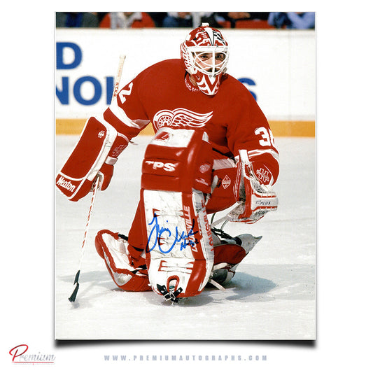 Tim Cheveldae Detroit  Red Wings Autographed 8x10 Focused