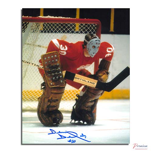 Denis Dejordy Detroit Red Wings Signed 8x10 Blue Mask