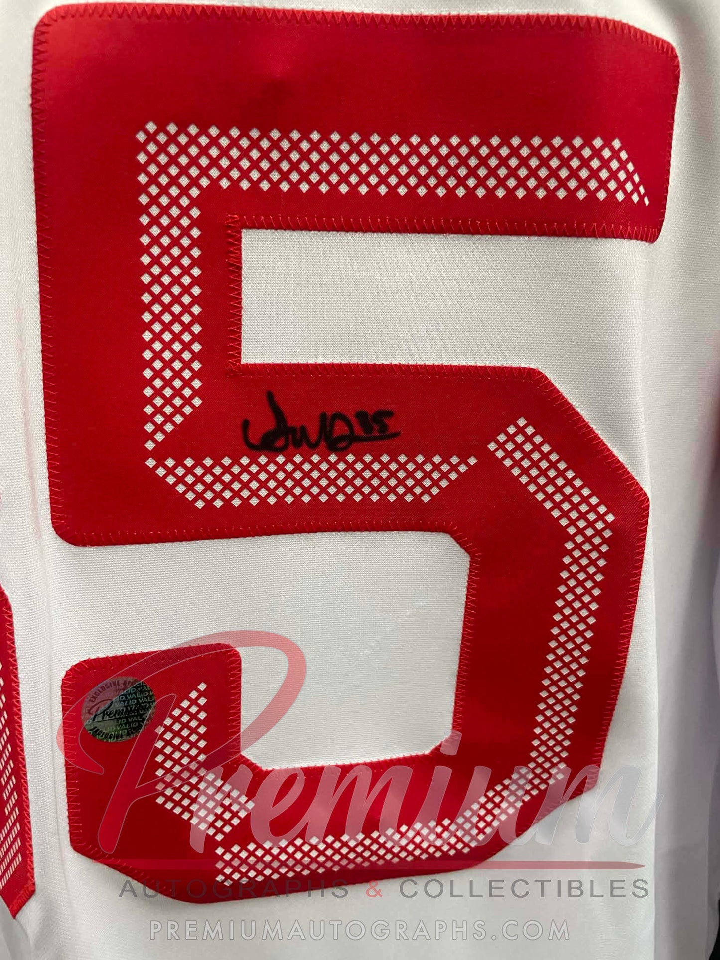 Ann-Renee Desbiens Olympic Team Canada Autographed Bauer WHITE jersey