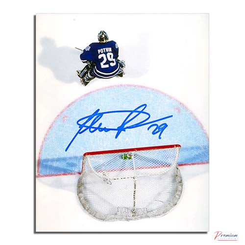 Felix Potvin Toronto Maple Leafs Signed 8x10 Birds Eye