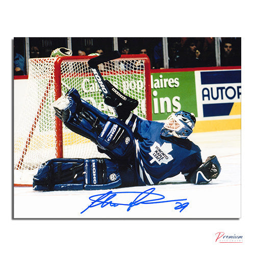 Felix Potvin Toronto Maple Leafs Signed 8x10 Save!