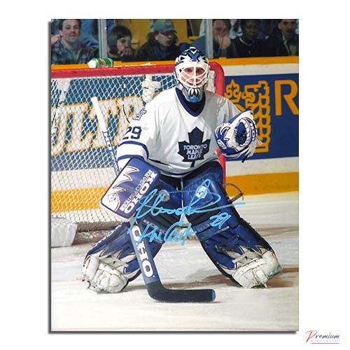 Felix Potvin Toronto Maple Leafs Signed 8x10 Action w/ The Cat Inscription