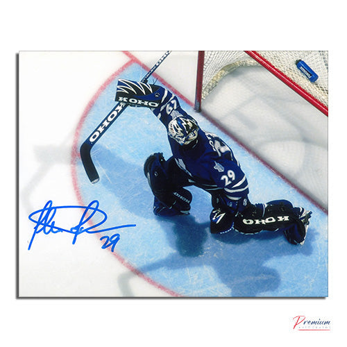 Felix Potvin Toronto Maple Leafs Signed 8x10 Birds Eye Save