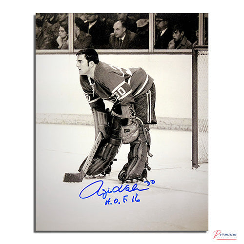 Rogie Vachon Montreal Canadiens Signed 8x10 Photograph No Mask w/ HOF 16 Inscription