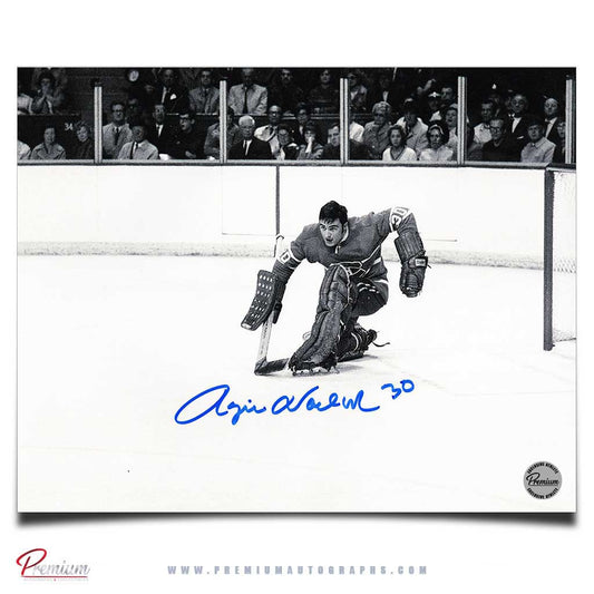 Rogie Vachon Montreal Canadiens Signed 8x10 Photograph Great Save