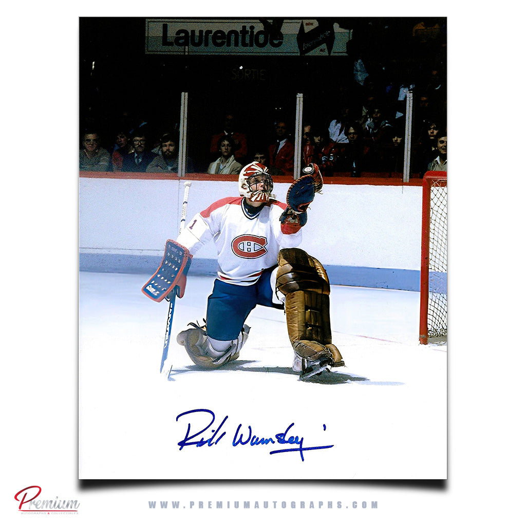 Rick Wamsley Montreal Canadiens Autographed 8x10 Photograph Glove Save