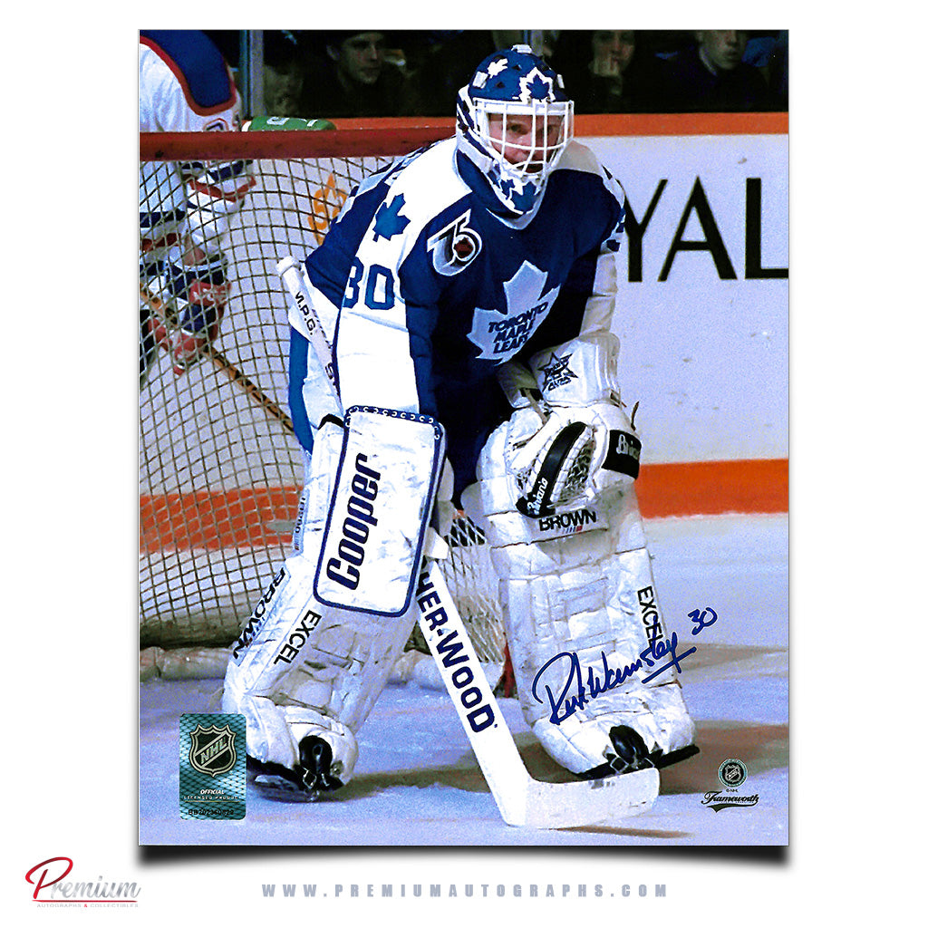 Rick Wamsley Toronto Maple Leafs Autographed 8x10 Photograph Top of the Paint v2